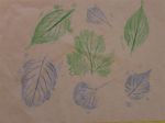 Leaf Rubbings(Kid craft)